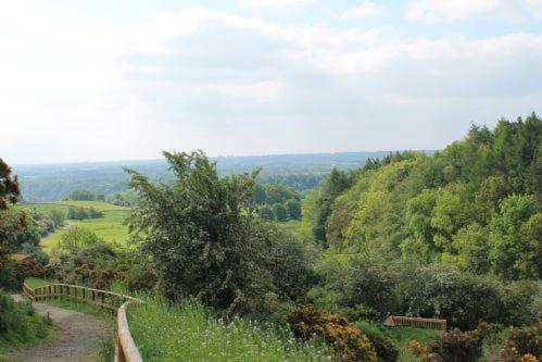 Yorkshire Dales Lodge 3 Family 3 Bed Richmond  Zewnętrze zdjęcie